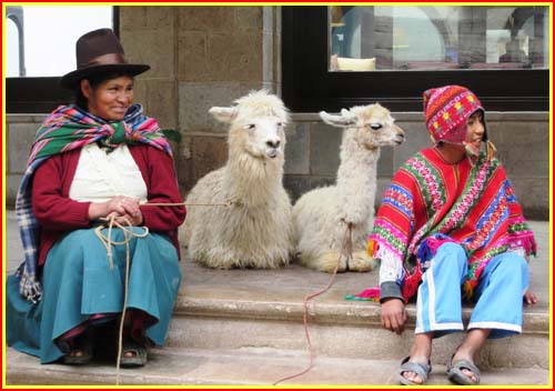 famille et llama